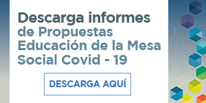 Descarga informes de Propuestas Educación de la Mesa Social Covid – 19