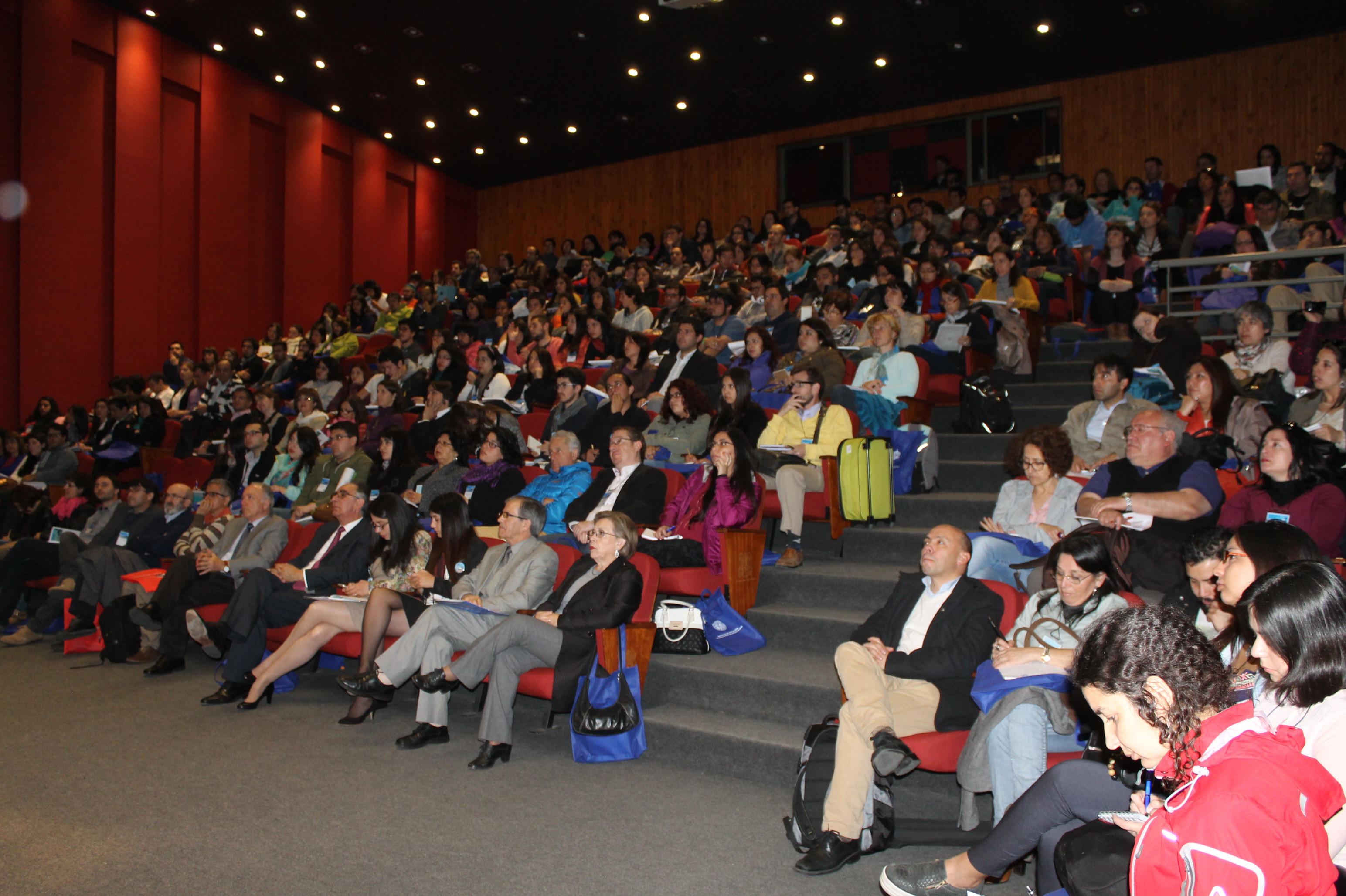 Jornadas Villarrica 3